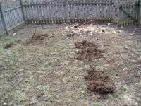 stump4