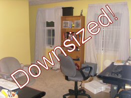 downsized.jpg
