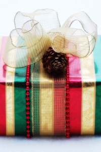 holiday gift ideas
