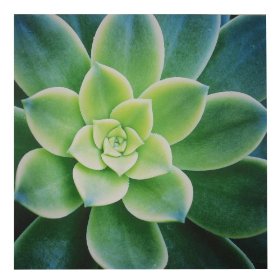 Colorful Wall Hanging