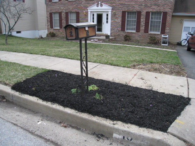mulched mailbox garden
