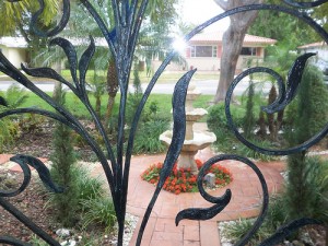 A garden