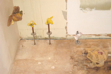 bathroom_plumbing