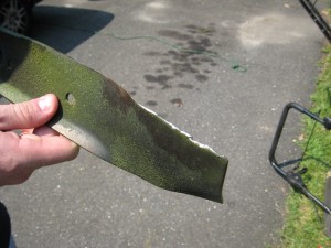 Dull mower blade