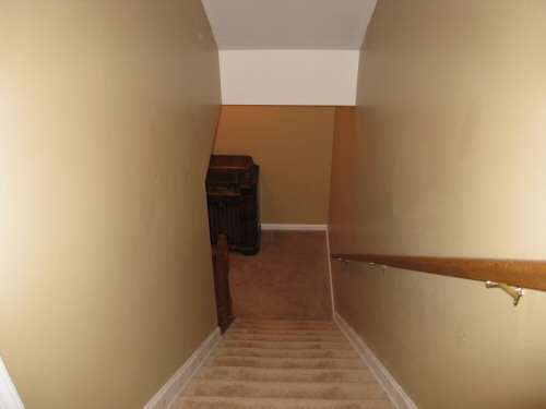 basement stairs carpet