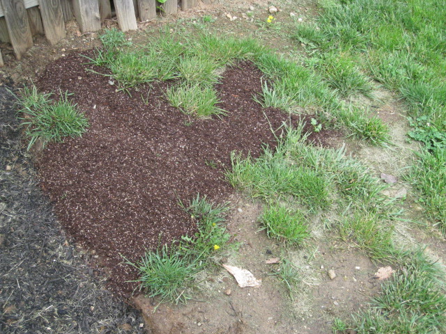 grass seed potting soil blend spread on ground