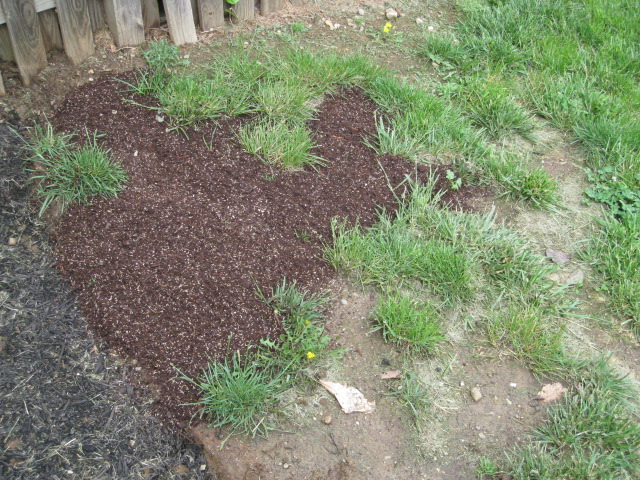 grass seed potting soil blend spread on ground