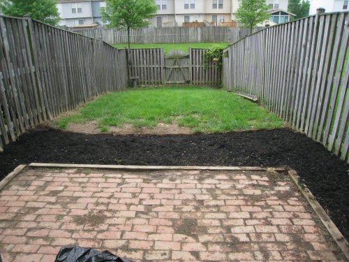 backyard-before1