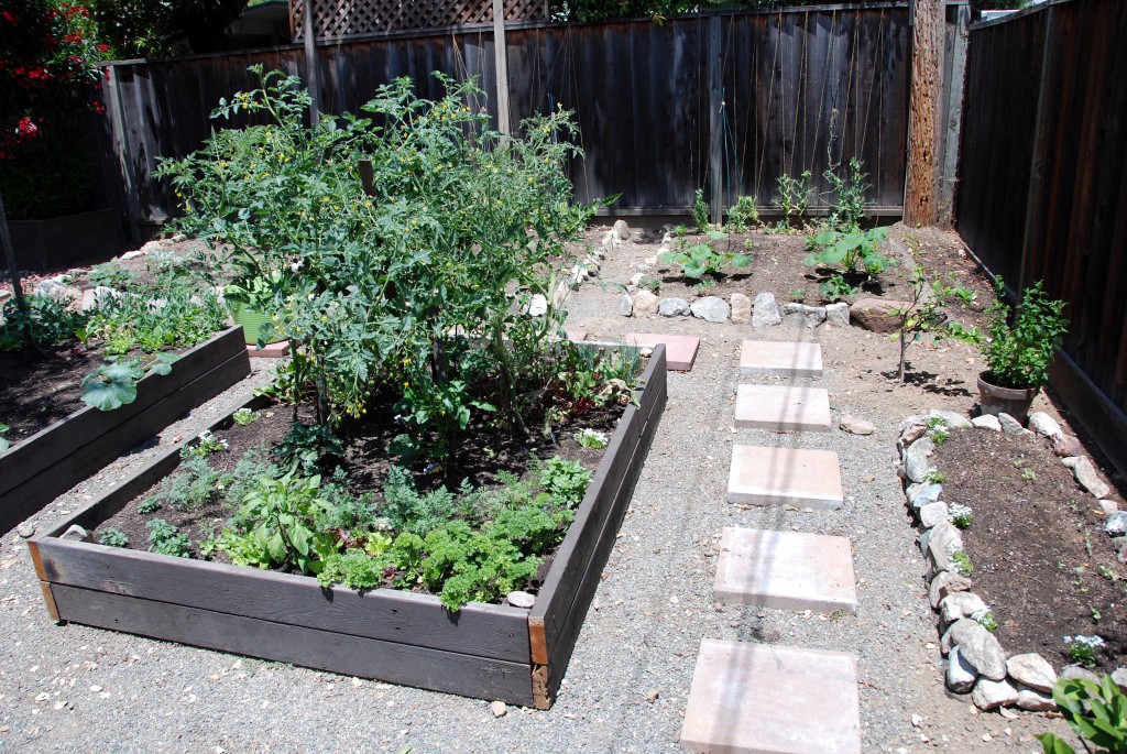 New Gardening Beds