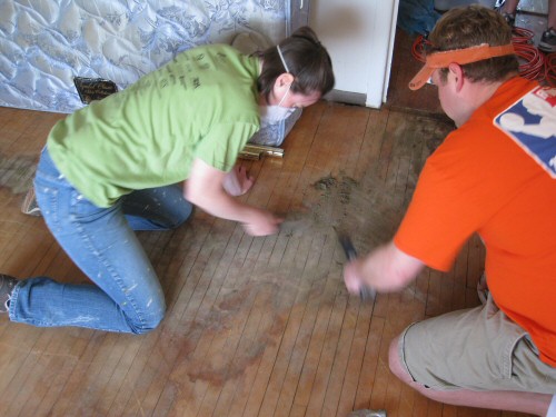 scraping-padding-from-pet-soiled-areas-on-hardwood