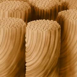 Carpet Tuft - Tigressa Carpet Tuft - Tigressa