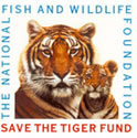 Save the Tiger Fund Logo