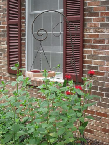 Garden Hook Bird Bath