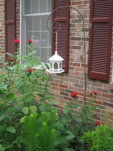 Garden Hook Bird Feeder