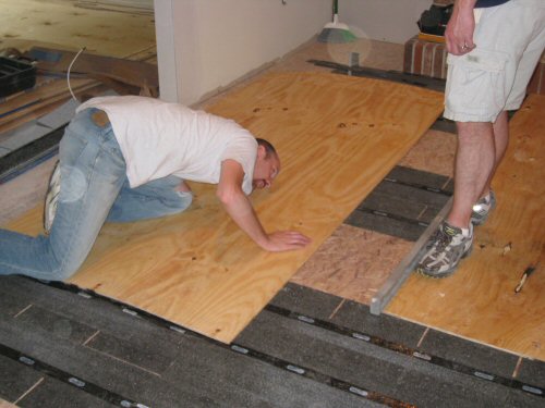 check subfloor for level