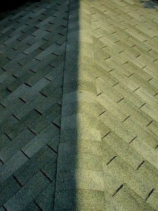 Shingles