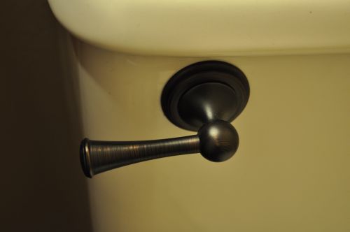 Brizo Toilet Lever