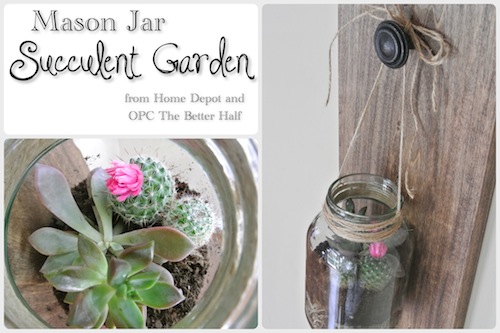 Mason-Jar-Succulent-Garden - OPC The Better Half