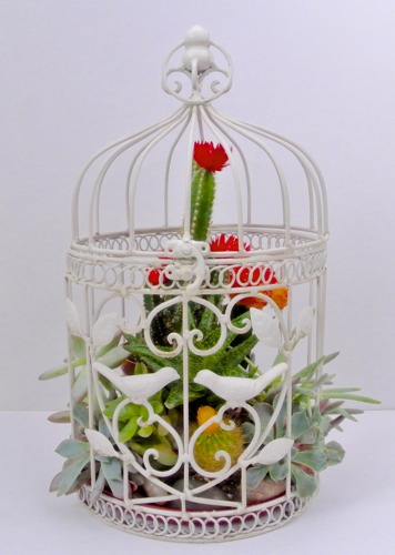 Birdcage Planter - OPC The Better Half