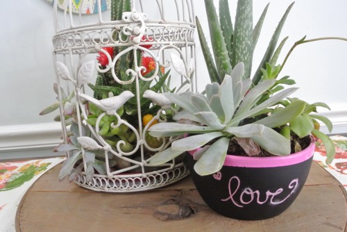 Easy Succulent Gardens - OPC The Better Half