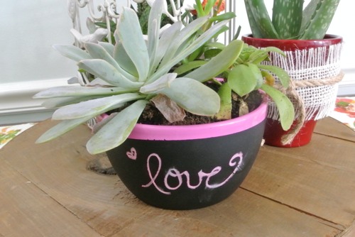 Chalkboard Succulent Planter - OPC The Better Half