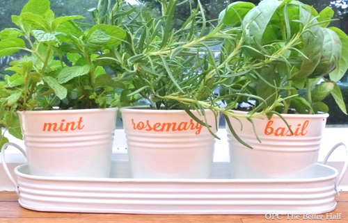 Simple Herb Garden - OPC The Better Half