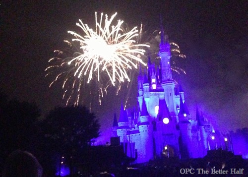 Fireworks in Magic Kingdom - OPC The Better Half