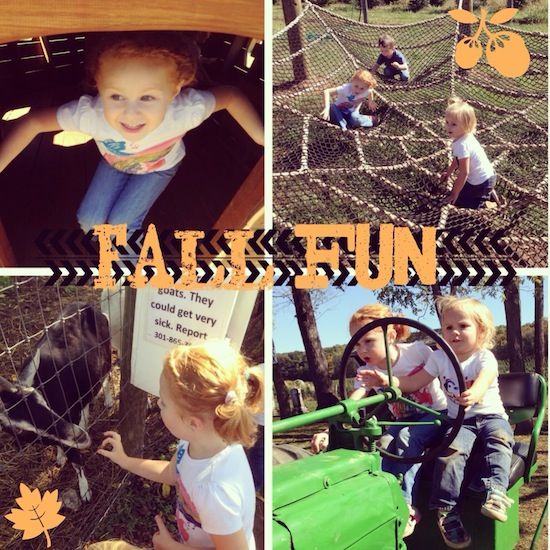 fall fun