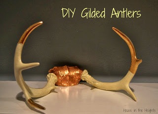 Gilded Antlers