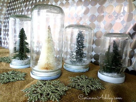 christmas tree terrarium