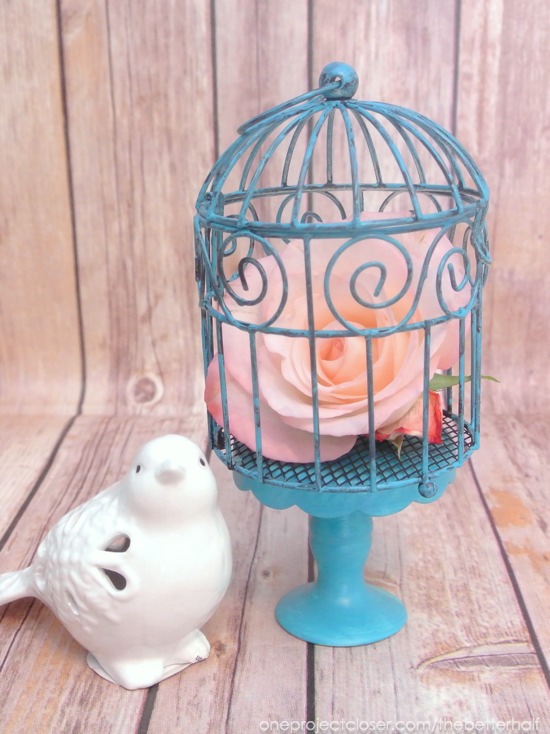 Painted birdcage