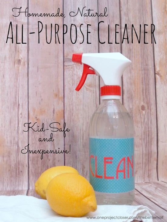 Homemade All Purpose Cleaner - One Project Closer