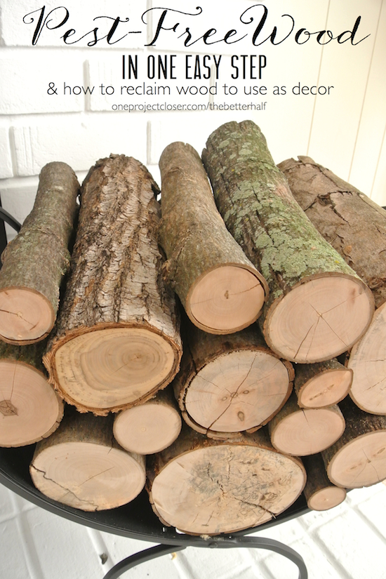 Free Pictures Of Logs In Water