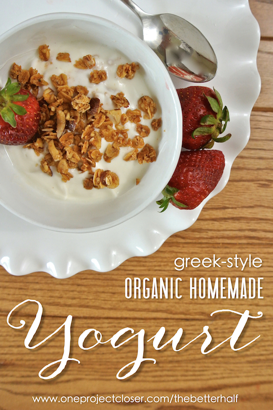 Organic-Homemade-Yogurt-Recipe-One-Project-Closer