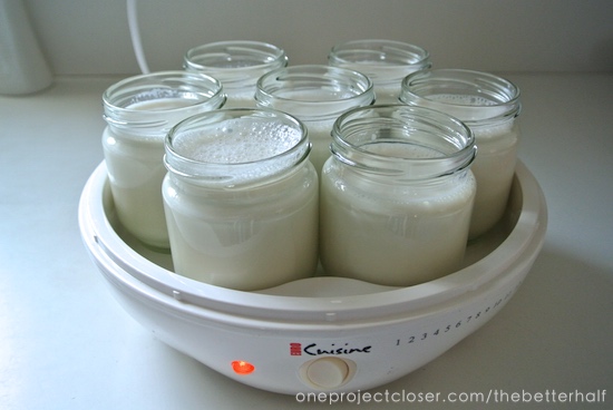 Organic-Homemade-Yogurt-Recipe-One-Project-Closer