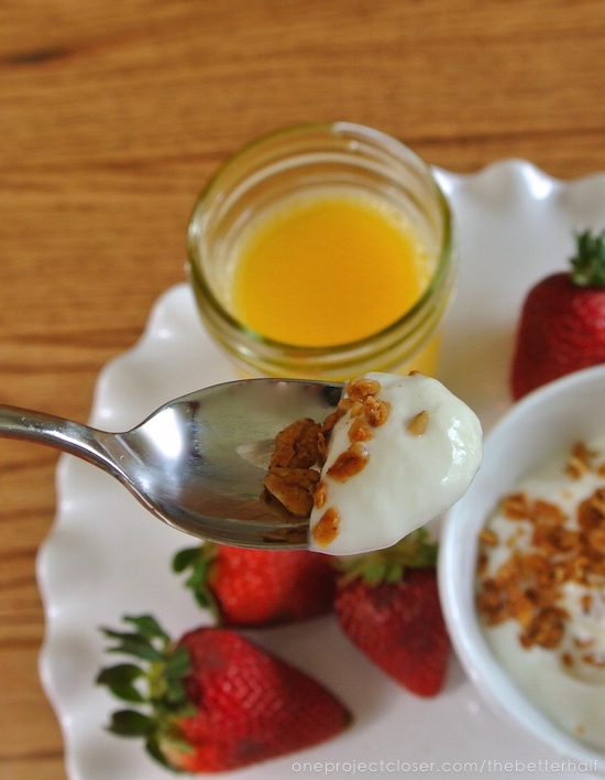 Organic-Homemade-Yogurt-Recipe-One-Project-Closer