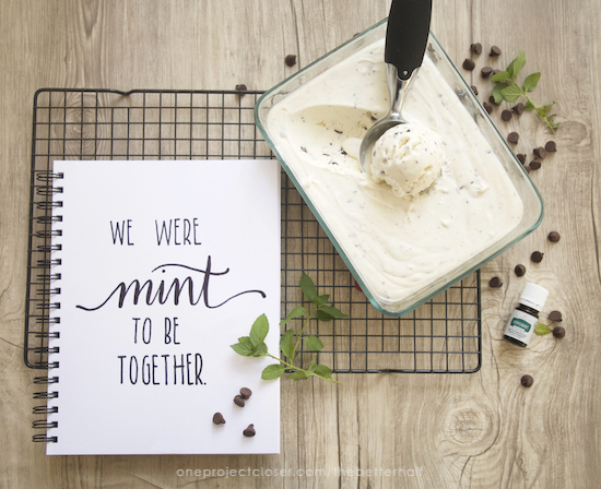 No Churn Mint Chocolate Chip Ice CreamMintChip+Printable from One Project Closer