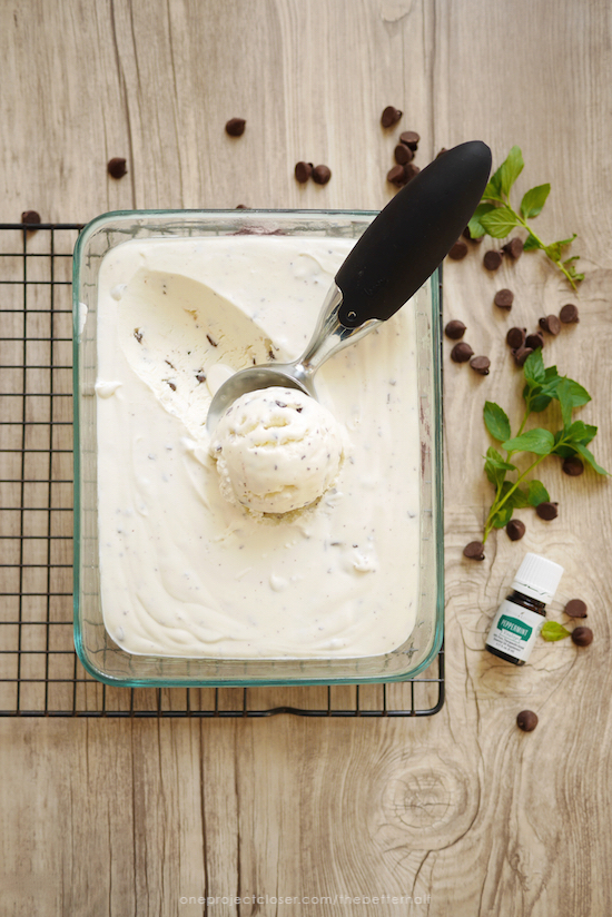 No Churn Mint Chocolate Chip Ice CreamPeppermintChocChip from One Project Closer