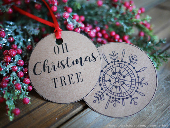 Bath-Salt-Ornament-with-Printable-Tag-from-One-Project-Closer