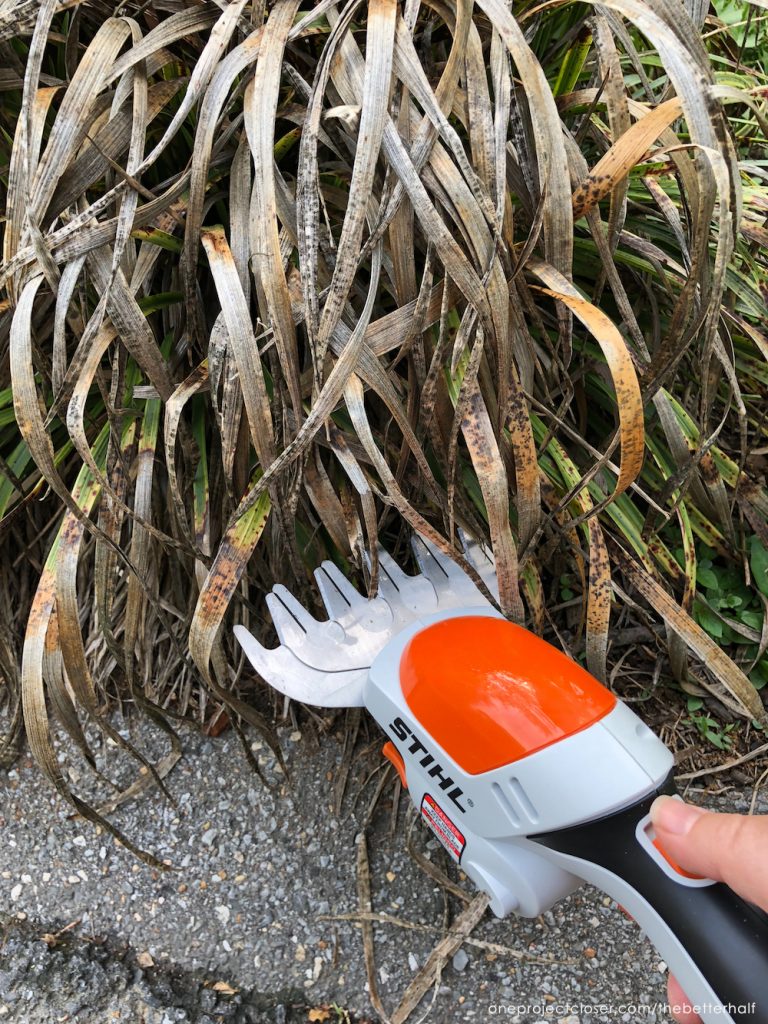 5 simple landscaping ideas for beginners