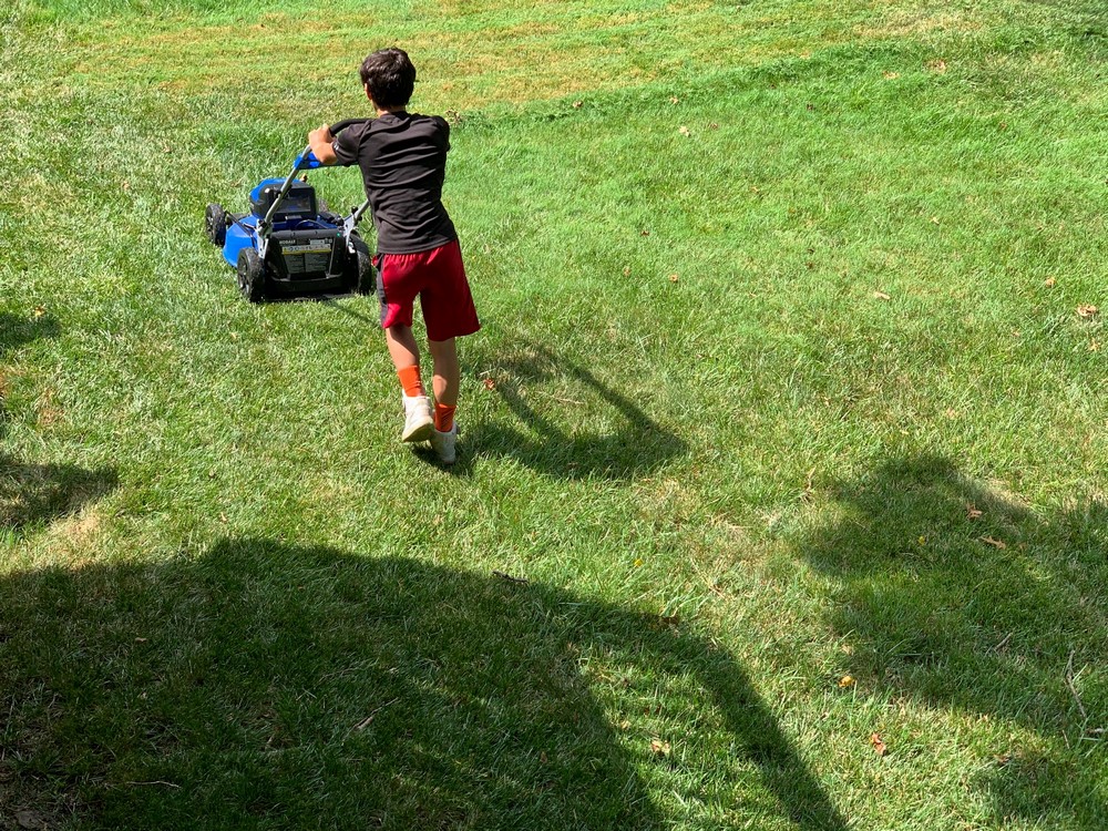 KOBALT 80v Max Brushless Lithium Ion Lawnmower Review